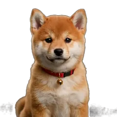 Shiba Inu